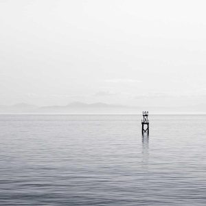 Weston Ambient Light Bar Variant 216