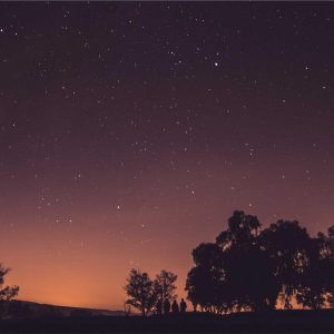 Weston Resistance Kit Variant 216