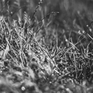 Northpeak Aero Laptop 14" Variant 220