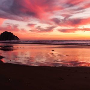 Aurelia Comfort Chair Variant 221