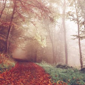 Aurelia Smart Fitness Watch Variant 23