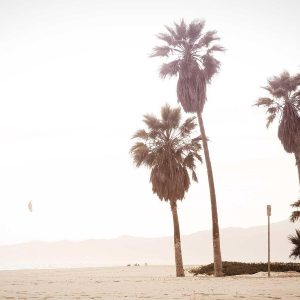 Weston Ambient Light Bar Variant 232