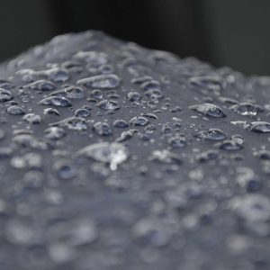 Weston Pulse Smartphone Variant 236