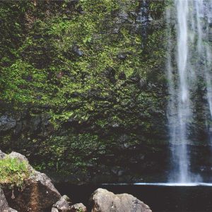 Northpeak Foam Roller Set Variant 237