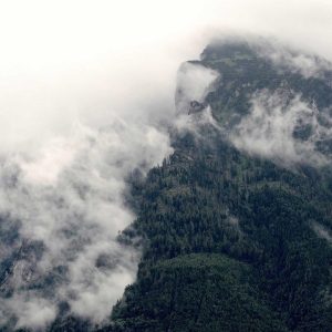 Velocore Wireless Earbuds Variant 239