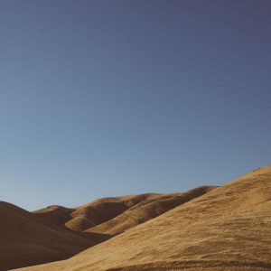 Aurelia Comfort Chair Variant 239