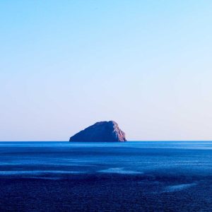 Aurelia Ergonomic Desk Pro Variant 242