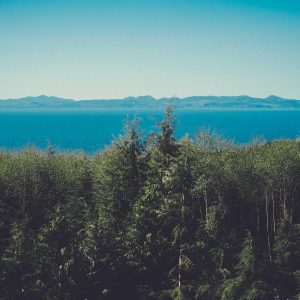 Weston Ambient Light Bar Variant 246