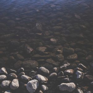 Velocore Desk Lamp Variant 247