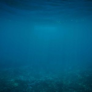 Northpeak Studio Headphones Variant 255