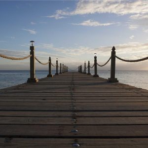 Velocore Wireless Earbuds Variant 261