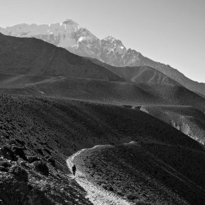 Weston Standing Desk Variant 261