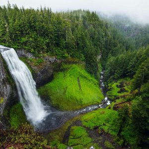 Velocore Desk Lamp Variant 270