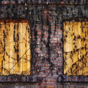 Velocore Pro Laptop 16" Variant 271