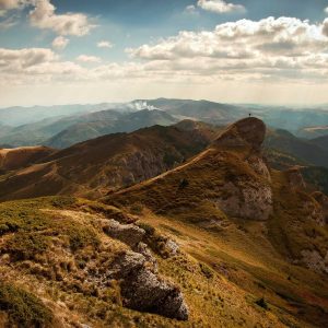 Aurelia Ergonomic Desk Pro Variant 273