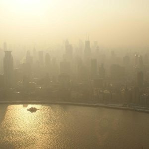 Northpeak Support Chair Variant 280