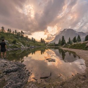 Weston Resistance Kit Variant 283