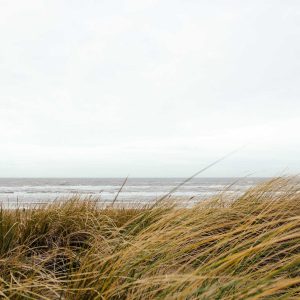 Aurelia Recovery Massage Gun Variant 30