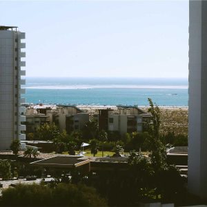 Velocore Adjustable Dumbbell Set Variant 301