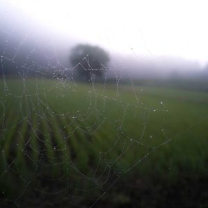 Northpeak Aero Laptop 14" Variant 306