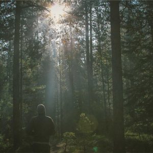 Aurelia Recovery Massage Gun Variant 306