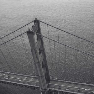 Velocore Wireless Earbuds Variant 308