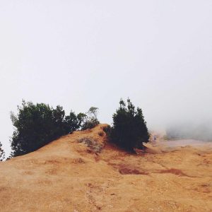 Northpeak Studio Headphones Variant 309