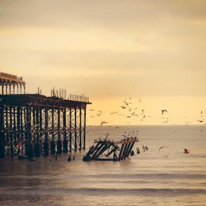 Aurelia Comfort Chair Variant 32