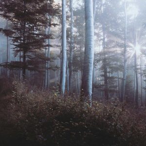 Aurelia One Smartphone Variant 317