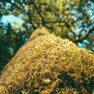 Velocore Pro Laptop 16" Variant 327