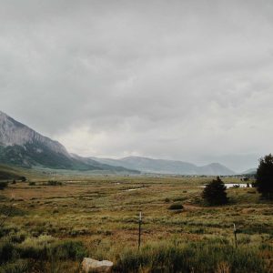 Velocore Adjustable Dumbbell Set Variant 328