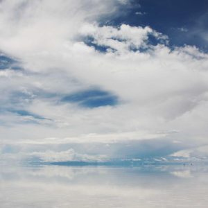 Weston Resistance Kit Variant 330