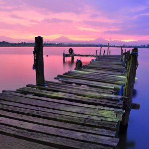 Weston Ambient Light Bar Variant 336