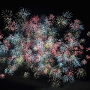 Weston Resistance Kit Variant 337