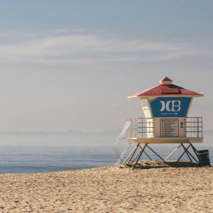 Weston Pulse Smartphone Variant 339