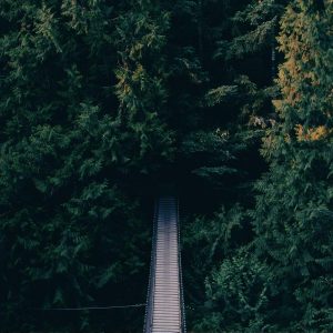 Aurelia Smart Fitness Watch Variant 351