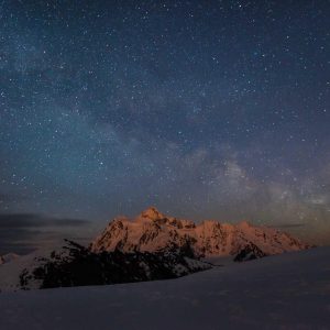 Aurelia One Smartphone Variant 352