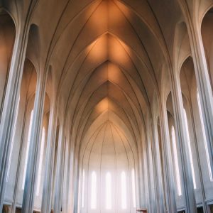 Aurelia Ergonomic Desk Pro Variant 354