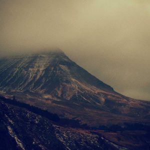 Weston Resistance Kit Variant 354