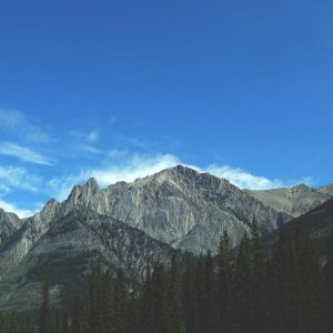 Northpeak Studio Headphones Variant 365