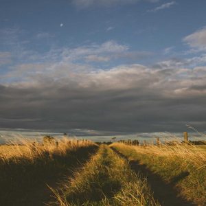 Northpeak Support Chair Variant 365