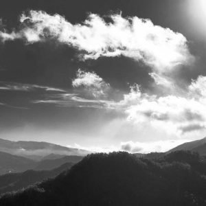 Velocore Wireless Earbuds Variant 366