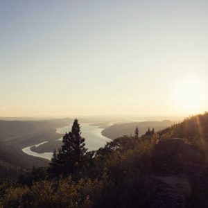 Aurelia Comfort Chair Variant 369