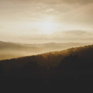 Aurelia Recovery Massage Gun Variant 375