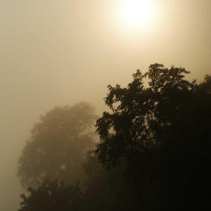 Northpeak Support Chair Variant 377