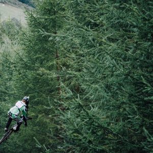 Weston Standing Desk Variant 381