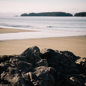 Northpeak Training Tracker Variant 382