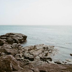 Northpeak Training Tracker Variant 385