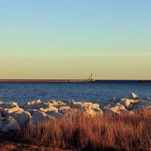 Aurelia Recovery Massage Gun Variant 395