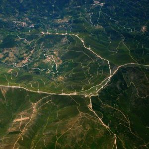 Weston Resistance Kit Variant 403